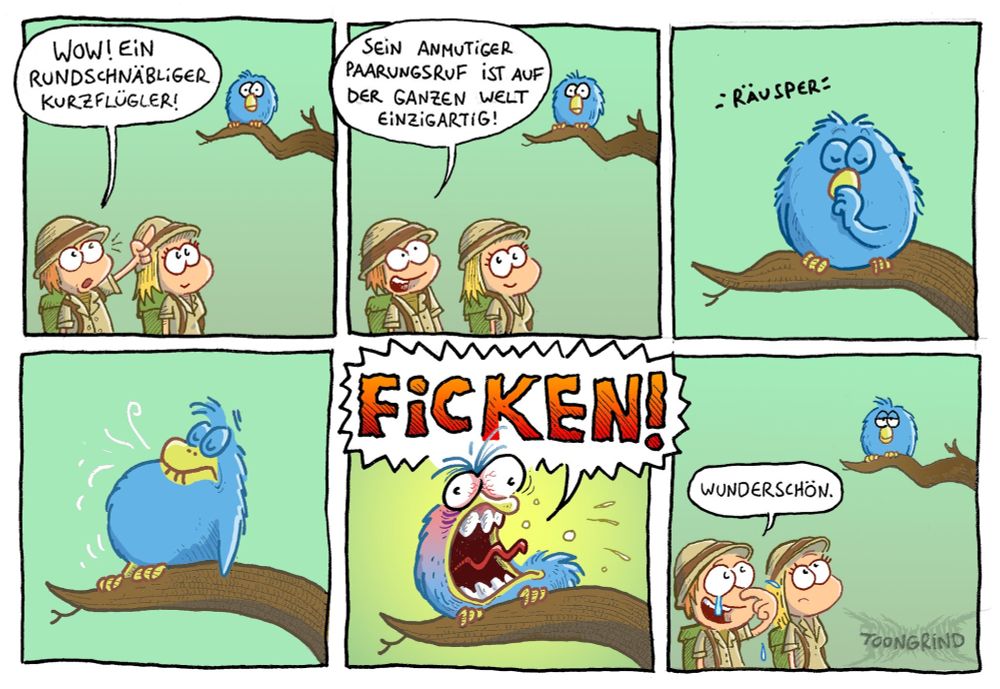 Das Bild zeigt einen sechsteiligen Comic mit zwei Forschern und einem ungewöhnlichen Vogel:
- Panel 1–2: Zwei Forscher beobachten einen blauen Vogel auf einem Ast. Einer nennt ihn „rundschnäbliger Kurzflügler“, der andere lobt seinen „anmutigen Paarungsruf“, der weltweit einzigartig sei.
- Panel 3–4: Der Vogel räuspert sich und bereitet sich auf seinen Ruf vor.
- Panel 5: Der Vogel ruft laut und unerwartet „FICKEN!“.
- Panel 6: Einer der Forscher ist sprachlos, der andere sagt bewundernd: „Wunderschön.“
