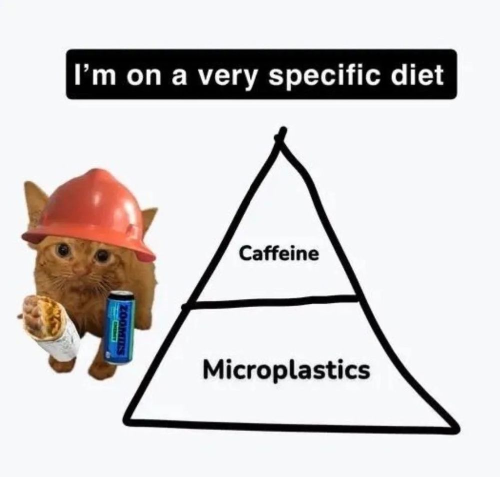 A imagem é um meme com fundo branco.

No topo, está escrito em uma faixa preta com letras brancas:

**"I'm on a very specific diet"**
(Em português: *"Estou em uma dieta muito específica"*).

Abaixo, há uma pirâmide alimentar dividida em duas faixas:

* No topo: **Caffeine** (*Cafeína*),
* Na base: **Microplastics** (*Microplásticos*).

À esquerda da pirâmide, há um **gatinho laranja** com um **capacete de obra vermelho**, segurando um **burrito** em uma pata e uma **lata de energético azul** na outra, fazendo alusão à "dieta específica" mencionada.

A imagem é uma crítica humorística aos hábitos alimentares modernos.