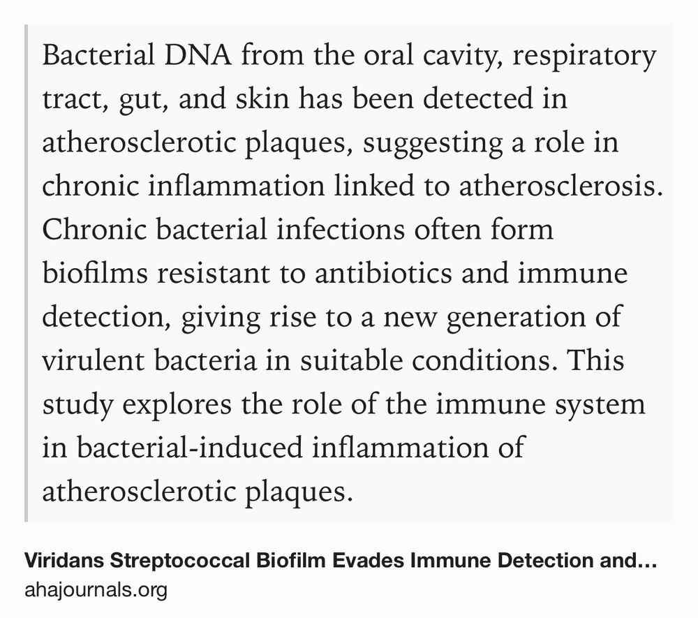 Text Shot: Bacterial DNA from the oral cavity, respiratory tract, gut, and skin has been detected in atherosclerotic plaques, suggesting a role in chronic inflammation linked to atherosclerosis. Chronic bacterial infections often form biofilms resistant to antibiotics and immune detection, giving rise to a new generation of virulent bacteria in suitable conditions. This study explores the role of the immune system in bacterial‐induced inflammation of atherosclerotic plaques.