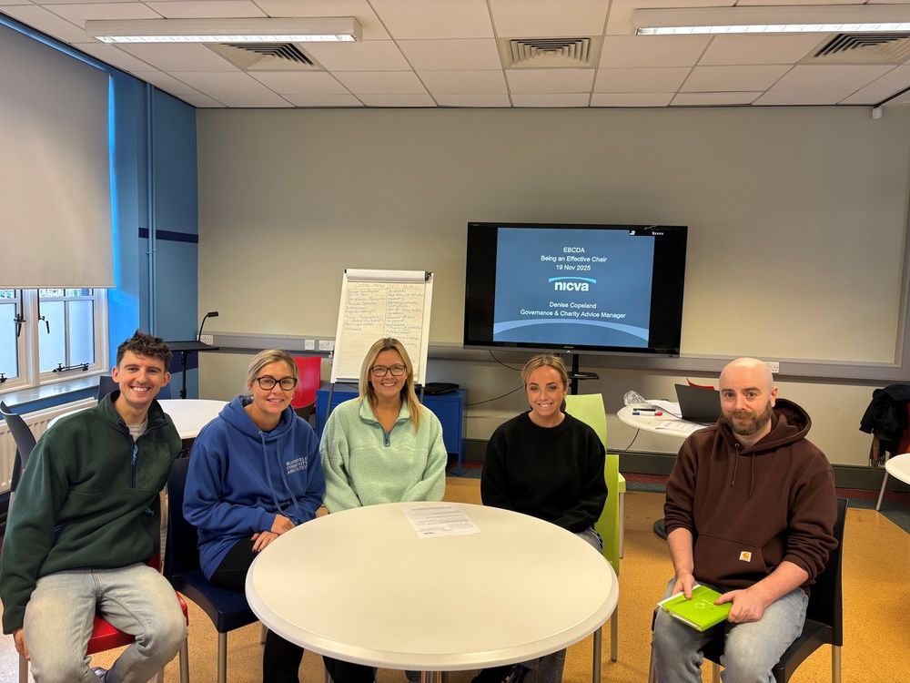 Photo of the EBCDA team during NICVA's Effective Chairing session.