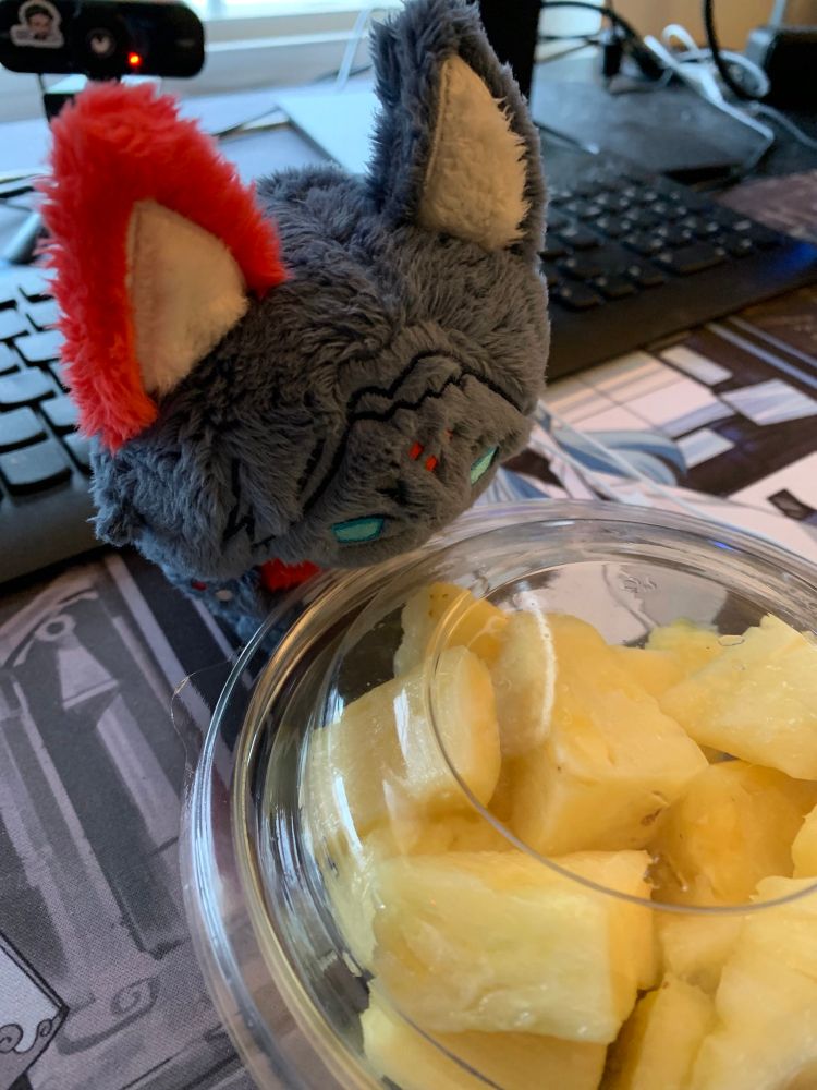 A Kolibri plush looking at a plastic container of pineapple chunks.
