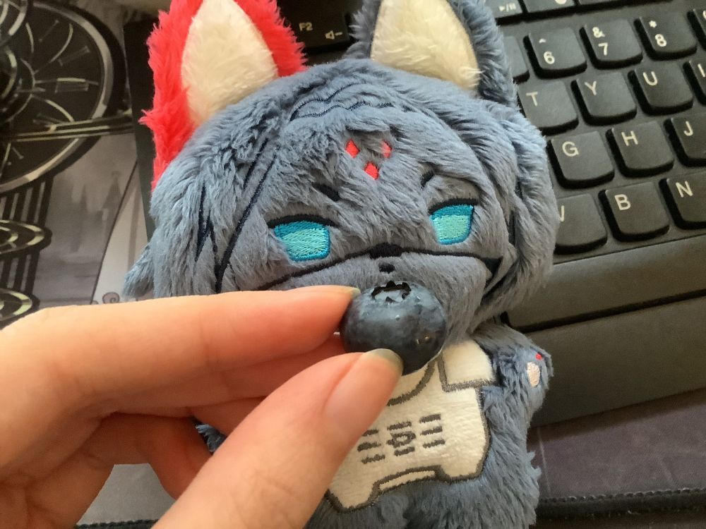 A Kolibri plush being "fed" a blueberry.