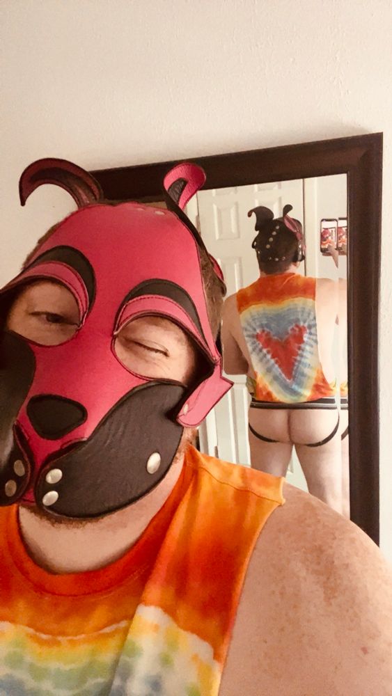 Pink pup in tie dye shirt showing his butt for hump day. 