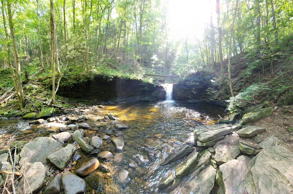 A beautiful morning at World's End State Park. Sunlight streaming through a verdant deciduous forest and illuminating a fresh water pool being fed by a waterfall