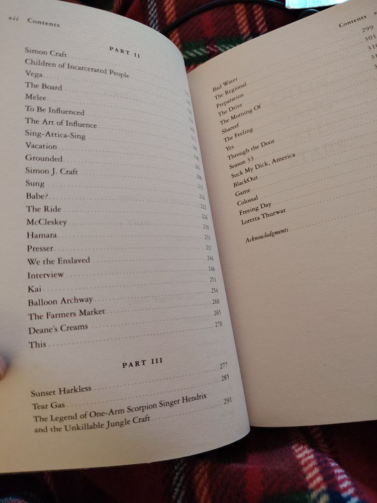 Photo of chapter titles 