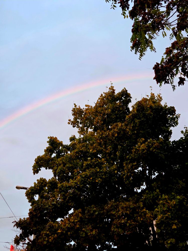 Regenbogen.