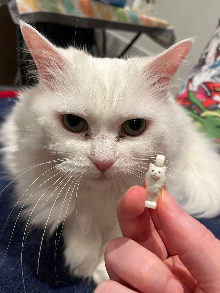 A white fluffy cat next to a Lego minifigure white fluffy cat that looks a lot like her 
