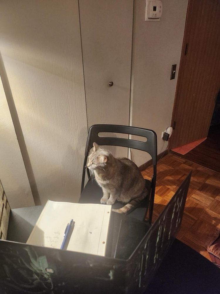A grey cat sits on a chair behind a GM screen for the TTRPG Mothership. The cat is clearly plotting mischief. 