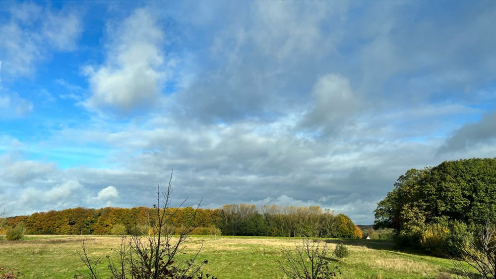 Herbstliche Landschaft mit Wald im Hintergrund und einer Wiese vorne mit Sonne, Wolken und blauem Himmel