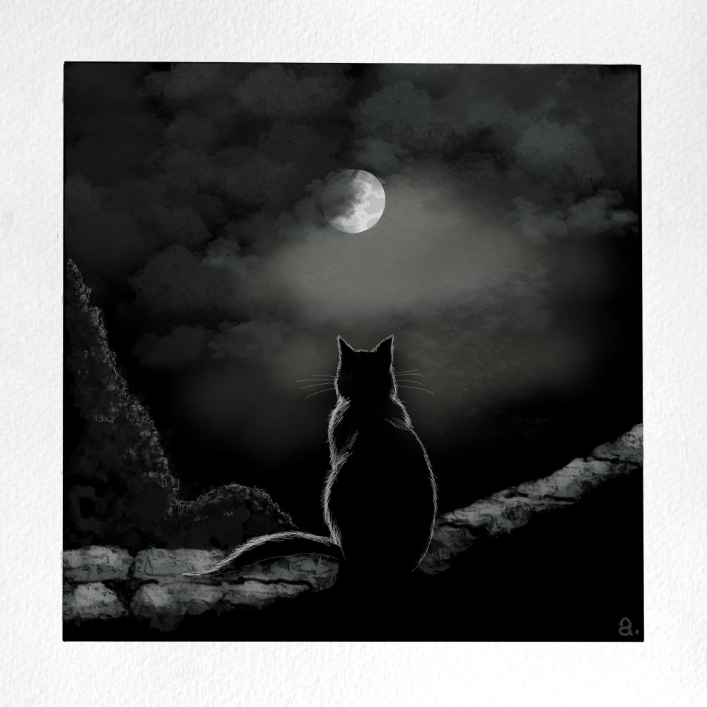 Zeichnung einer Katze im Gegenlicht, die nachts auf den Mond schaut