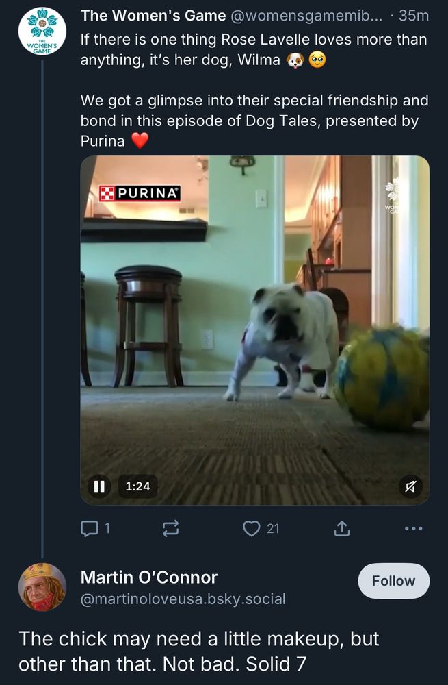 The Women's Game @womensgamemib... • 35m
If there is one thing Rose Lavelle loves more than anything, it's her dog, Wilma
We got a glimpse into their special friendship and bond in this episode of Dog Tales, presented by Purina
[video still showing a dog]
...
Martin O'Connor
@martinoloveusa.bsky.social
The chick may need a little makeup, but other than that. Not bad. Solid 7