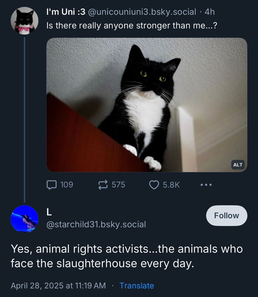 I'm Uni :3 @unicouniuni3.bsky.social • 4h
Is there really anyone stronger than me...?
(picture of a black and white kitty cat)
• ••
L
Follow
@starchild31.bsky.social
Yes, animal rights activists...the animals who face the slaughterhouse every day.
April 28, 2025 at 11:19 AM