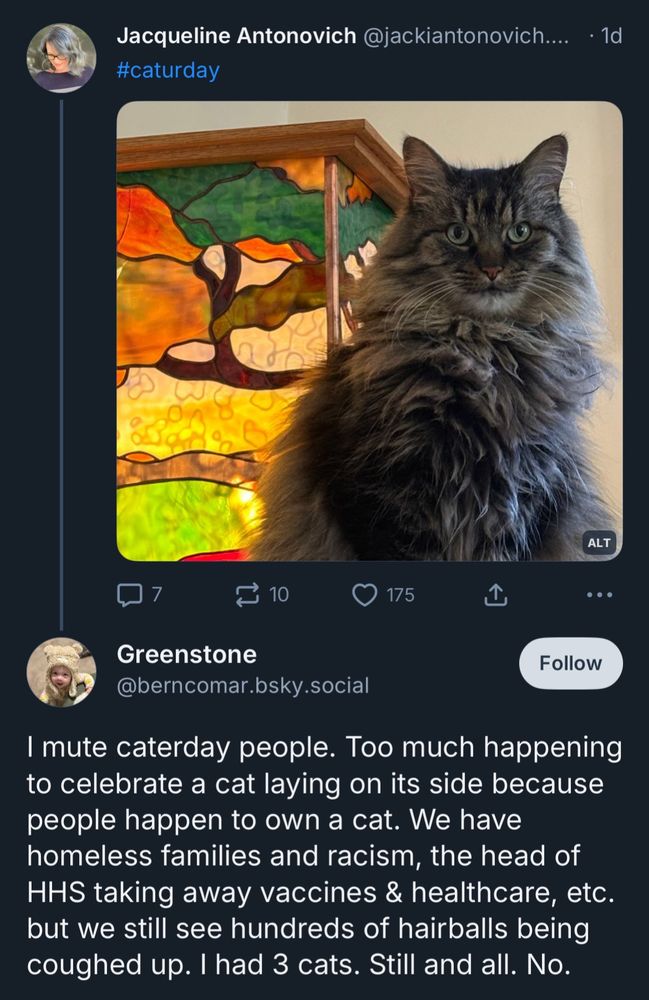 Jacqueline Antonovich @jackiantonovich.... • 1d #caturday
[picture of a kitty cat]

Greenstone @berncomar.bsky.social
I mute caterday people. Too much happening to celebrate a cat laying on its side because people happen to own a cat. We have homeless families and racism, the head of HHS taking away vaccines & healthcare, etc. but we still see hundreds of hairballs being coughed up. I had 3 cats. Still and all. No.