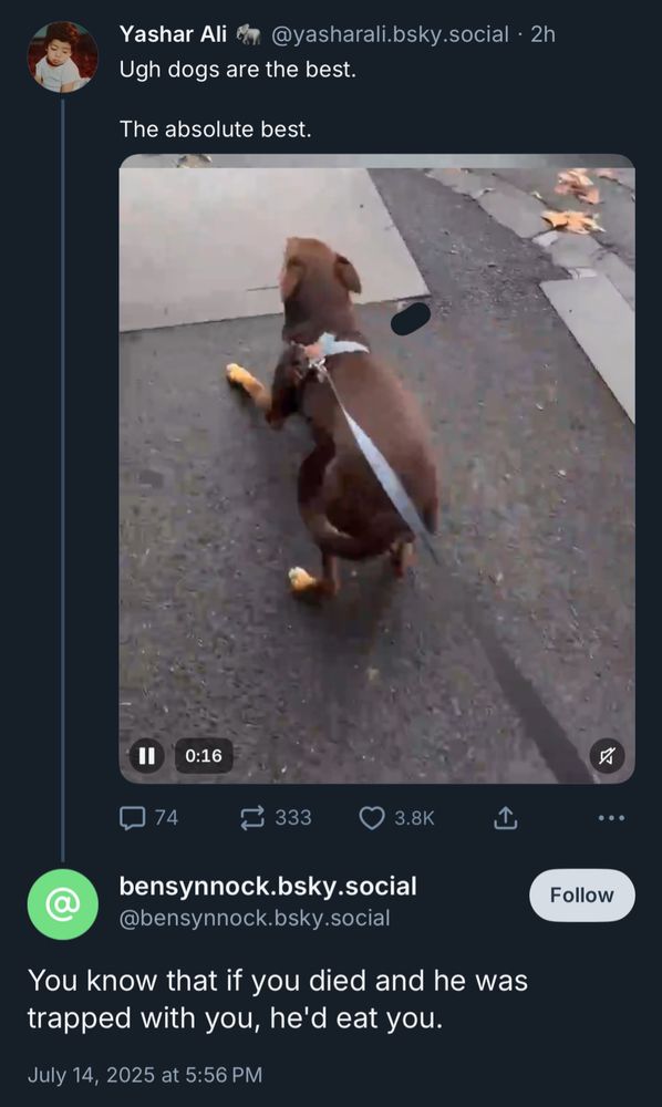 Yashar Ali &m @yasharali.bsky.social • 2h
Ugh dogs are the best.
The absolute best.
[tiktok of a dog excited to see its walker in public]

bensynnock.bsky.social
@bensynnock.bsky.social
You know that if you died and he was trapped with you, he'd eat you.