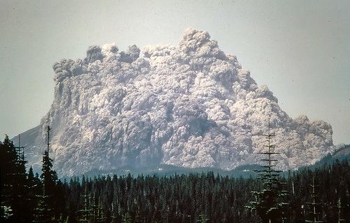 Second photo by Keith Ronnholm capturing the growing eruption plume. A massive, light-gray ash cloud has expanded across the sky, dwarfing the volcano and the surrounding forest. The plume appears to boil and churn, filled with texture and force. Trees in the foreground remain undisturbed—for now.