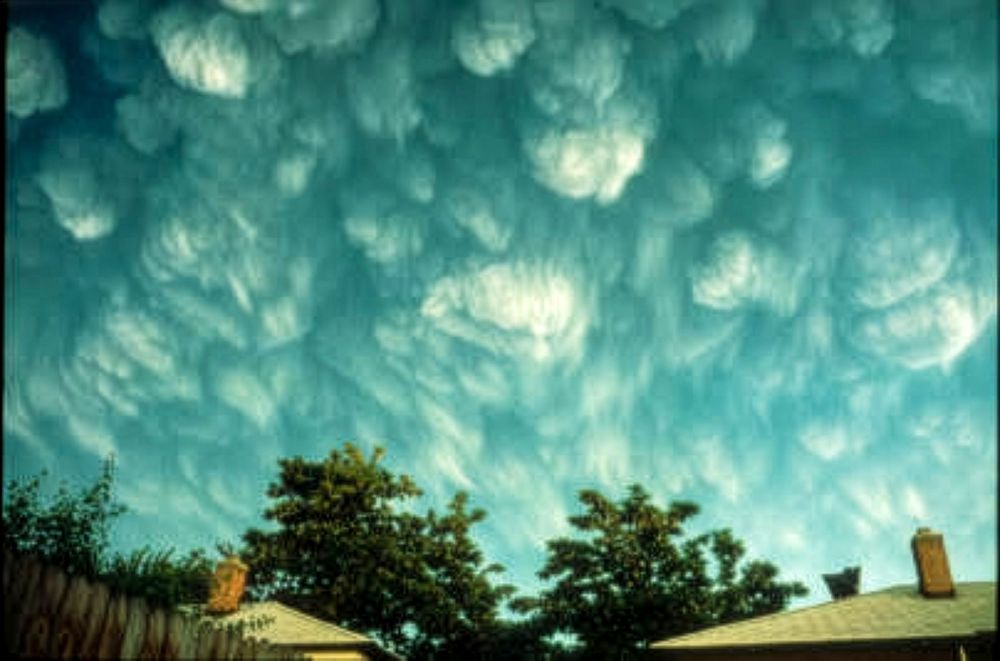 Volcanic ash clouds from the eruption of Mount St. Helens form mammatus-like patterns in the sky over Richland, Washington, more than 180 miles east of the volcano. Photographed by Don J. Easterbrook, University of Washington Libraries, Special Collections (Donald J. Easterbrook Photograph Collection, PH Coll 797, image EAS1008).