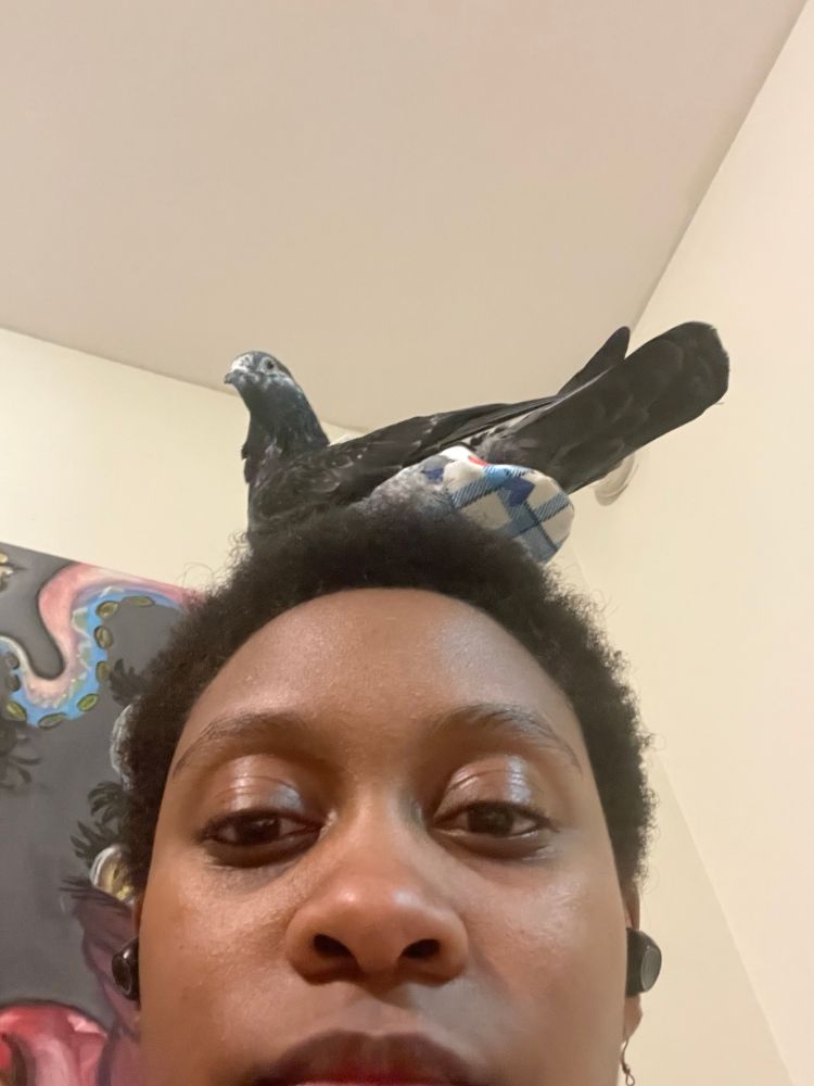 Low-angle selfie of a Black woman with a short afro, positioned in front of a painting hung on a wall. A pigeon wearing a bird diaper is standing on her head. 