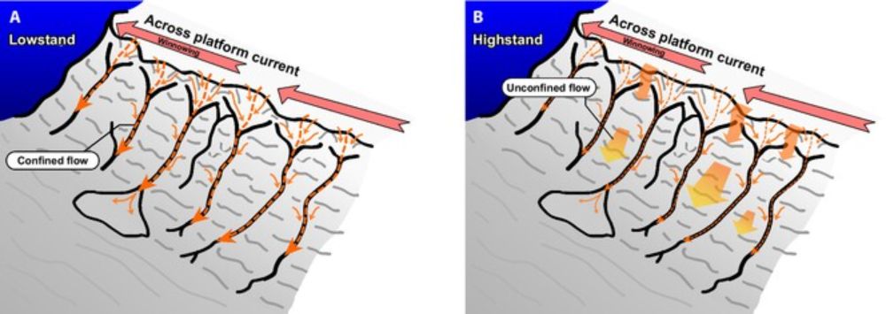 Changes in mesophotic carbonate‐platform export across the end of the last glacial cycle (Saya de Malha Bank, western Indian Ocean)