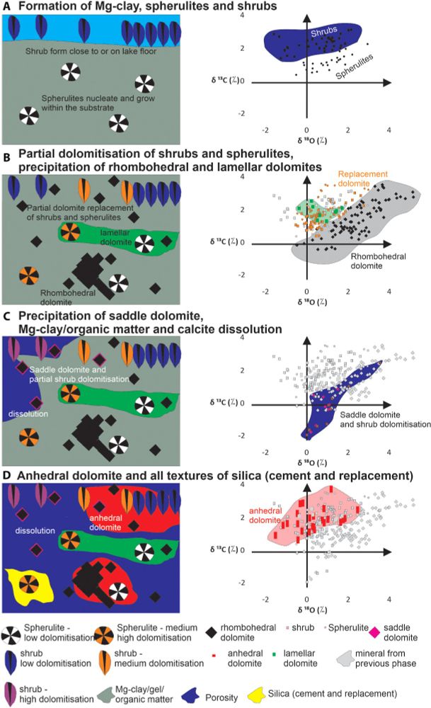 Early diagenetic evolution based on petrography and stable isotope analysis in the Barra Velha Formation of the Brazilian Pre‐salt