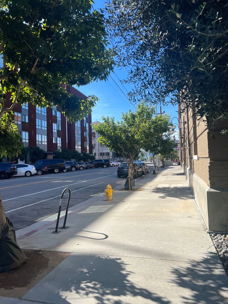 Snapshot of a sidewalk in the city surrounded by trees.