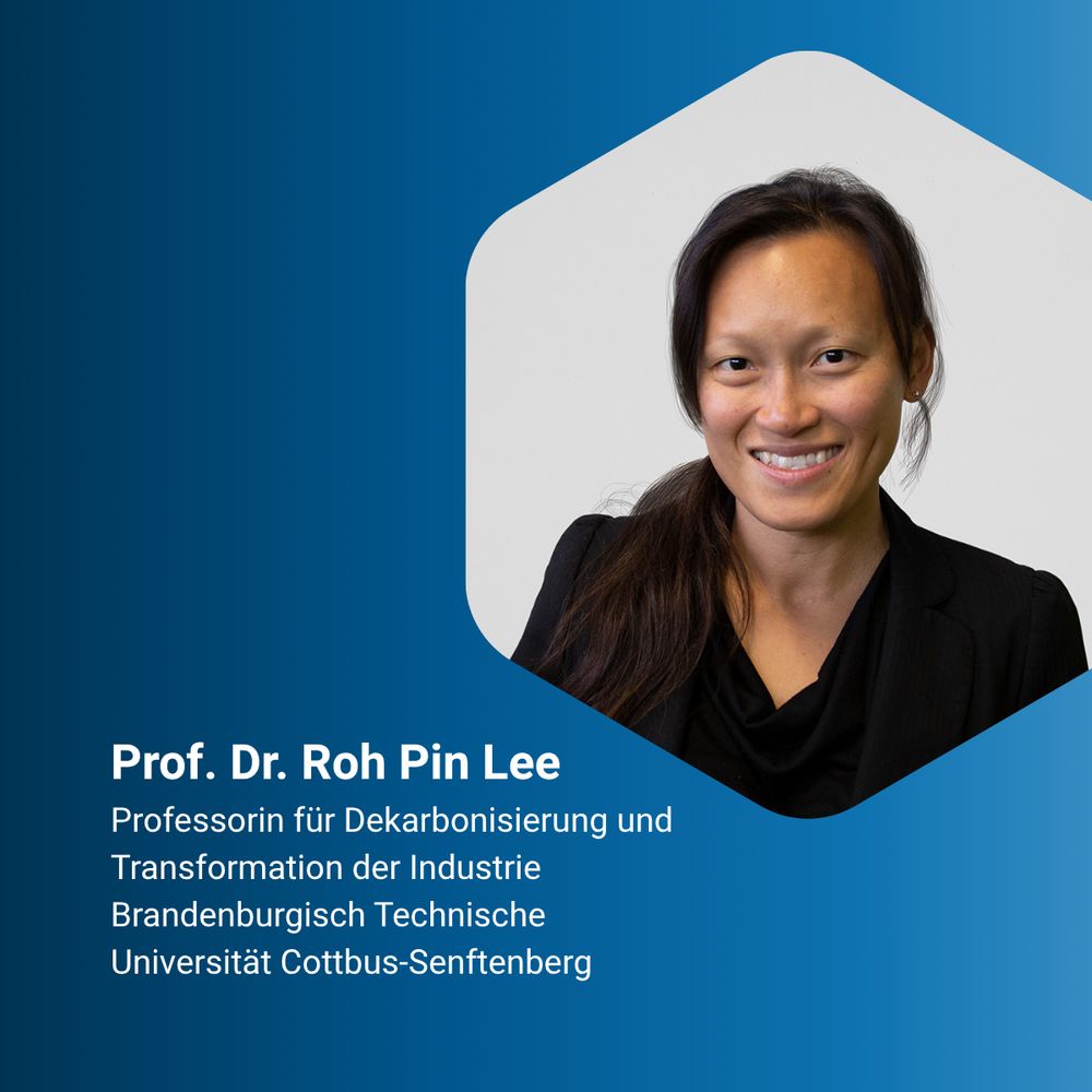 Prof. Dr. Roh Pin Lee, Professorin für Dekarbonisierung und Transformation der Industrie, Brandenburgisch Technische Universität Cottbus-Senftenberg