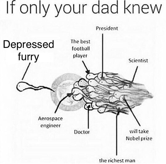 an illustration that says "if only your dad knew" with a bunch of sperm. The "depressed furry" sperm made it through while the other sperm with potential great achievements don't make it to the egg.