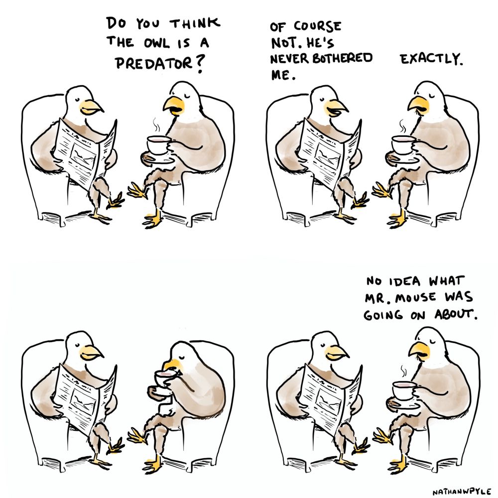4 panel comic strip by Nathan Pyle. Two Bald eagles are sitting in chairs. One is reading a newspaper and the other is drinking coffee or tea. First panel: tea drinker asked "do you think owl is a predator?" Second panel: paper reader "of course not he's never bothered me." Tea drinker "exactly." Third panel: no words, both continue their actions. Fourth panel: tea drinker "no idea what Mr. mouse was going on about."

This is because the eagles do not have anything to fear from the owl. The owl is not a predator to them. However, the mouse does not a lot to fear as the owl eats mice.