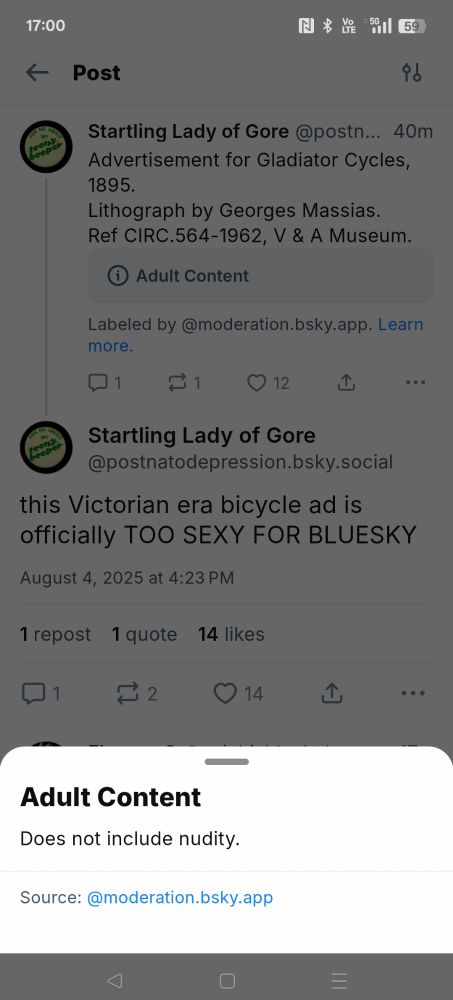 Screenshot of the thread above. The original blort is behind an "adult content" sign and there are links to "learn more" which provide surprisingly little educational content.
