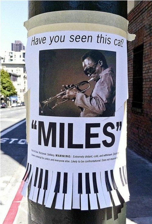 Close up photograph of a ‘missing cat’ style flyer taped to a lamp post. The headline says,”Have you seen this cat?” above a image of Miles Davis playing the trumpet. Below the image in block text it says “MILES”.