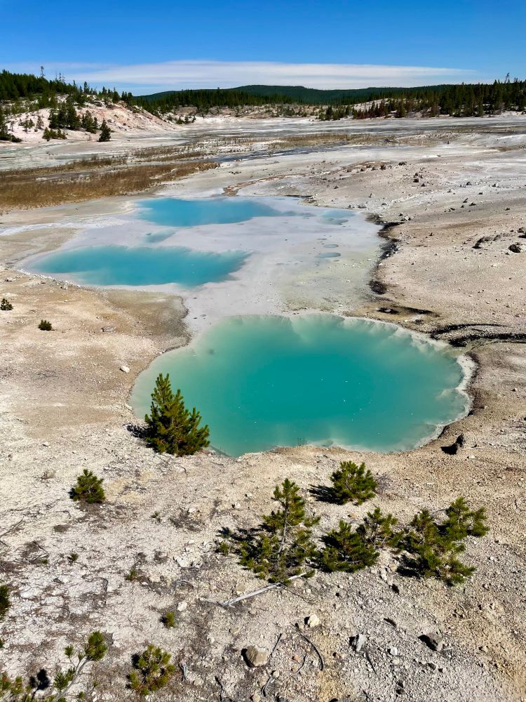 Aquamarine geothermal pools at Norris Geyser Basin in Yellowstone National Park. 