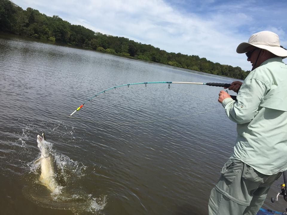 Fighting an alligator gar. 
