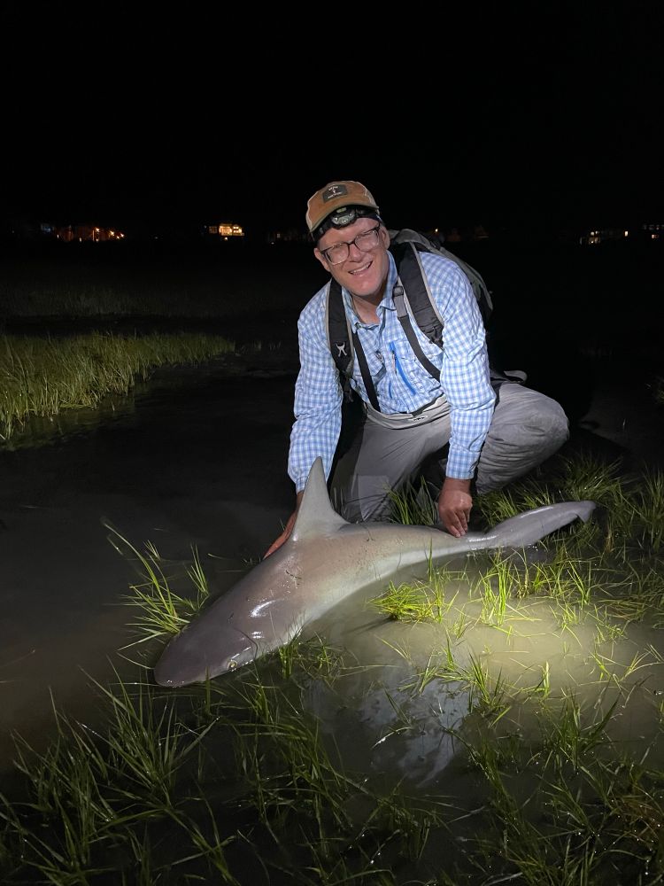 Sandbar shark caught at night. 