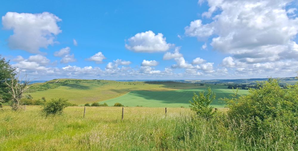 The view looking across the fields towards Ivinghoe Beacon in the Chilterns National Landscape. 