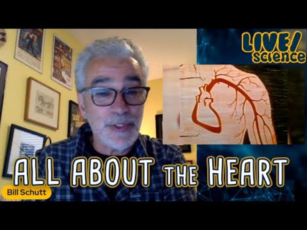 LIVE/science: All About the Heart