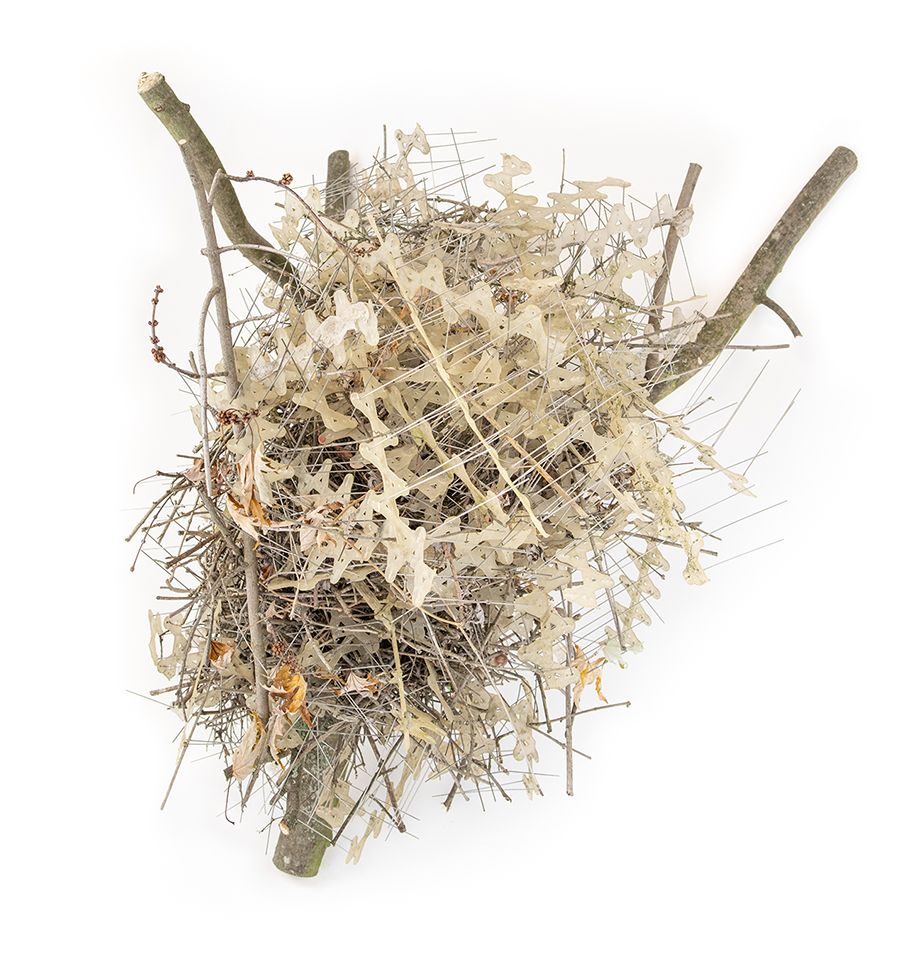 A bird's nest made of metal anti-bird spikes, against a white background