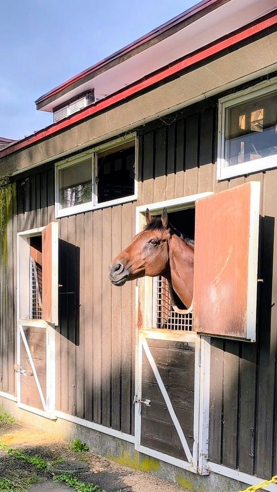 ブラストワンピース