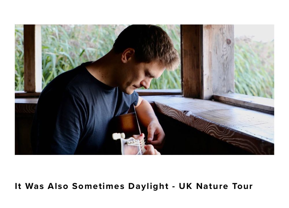 It Was Also Sometimes Daylight - UK nature tour. Photograph of Merlyn Driver playing guitar inside a wooden bird hide with a backdrop of green reed beds.