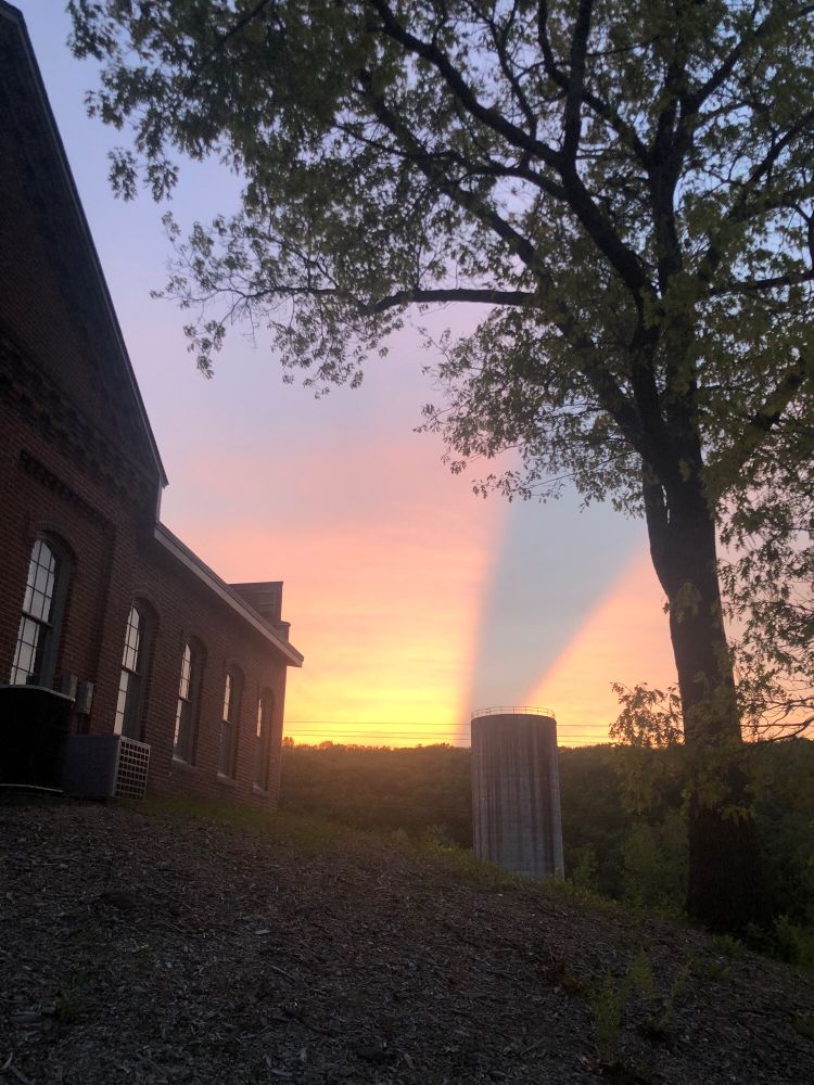 A pink and gold sunset over a bike path; there is a very clear blue line bisecting the clouds of the sunset.
