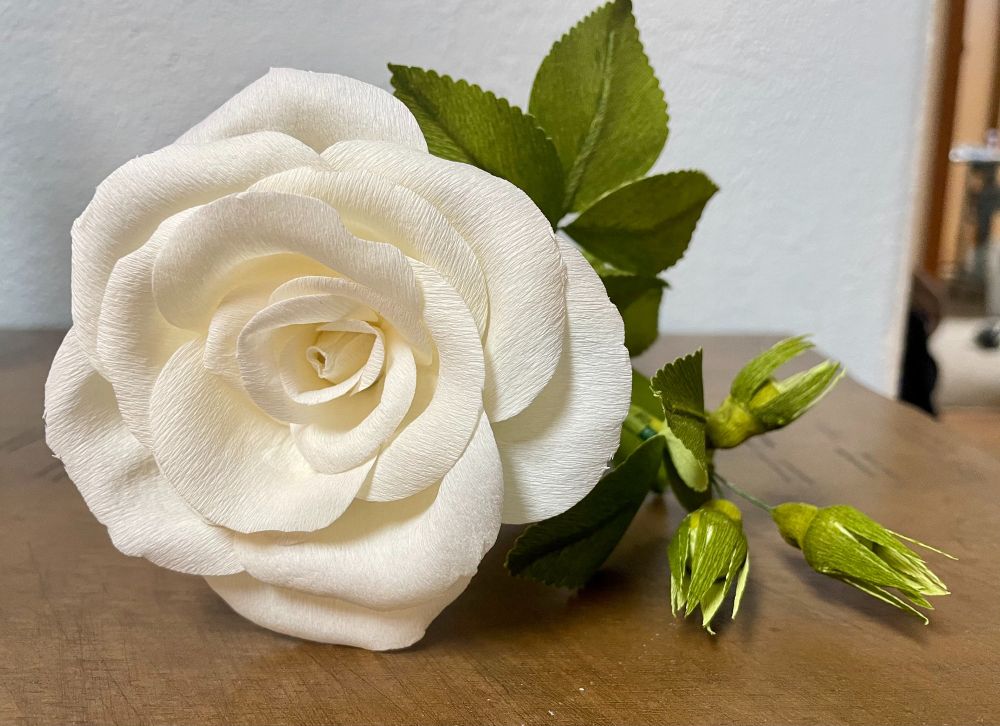 White crepe paper rose with green buds, laying on a brown table