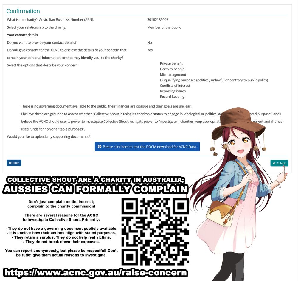 Collective shout are a charity in australia; aussies can formally complaint. https://www.acnc.gov.au/raise-concern. They do not have a governing document publicly available, they retain a surplus, they do not break down their expenses, its unclear how their actions align with their stated purpose, they do not assist real victims. 