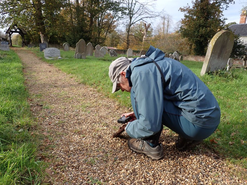 @vannabartlett.bsky.social photographing a Common Chthonid pseudoscorpion (Chthonius ischnocheles) on the underside of an old tile.