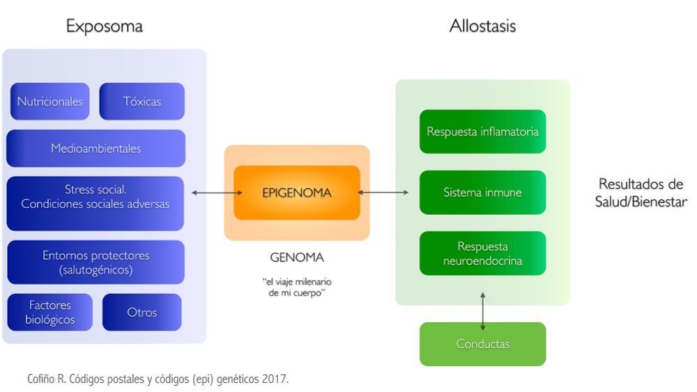 Epigenética y las causas de las causas