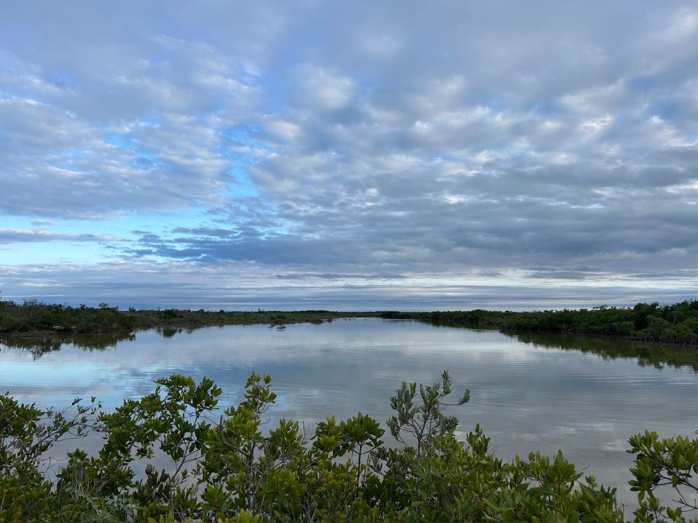Cloudy sky over a mangrove-lined salt pond in the Florida Keys