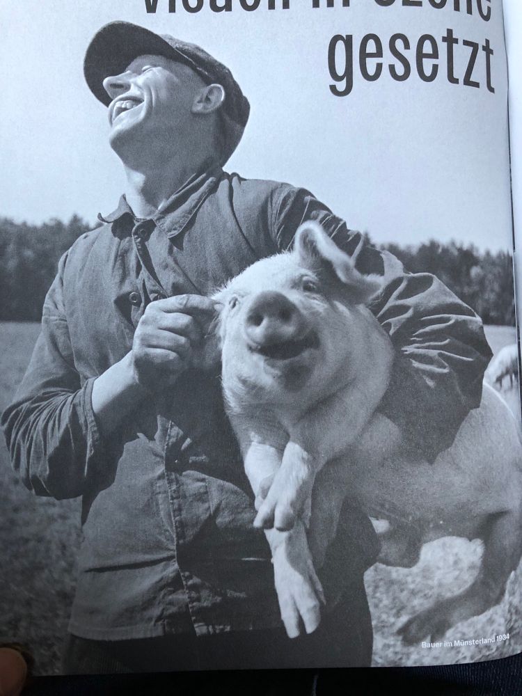 Bauer und Ferkel im Münsterland 1934