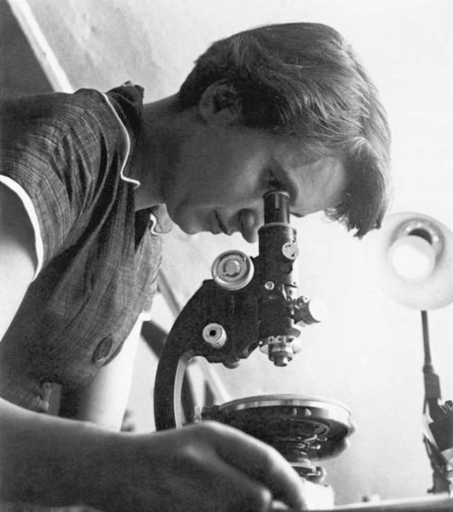 Rosalind Franklin, die die Grundlagen für die DNS-Entschlüsselung legte und keine rassistischen Anwandlungen hatte.