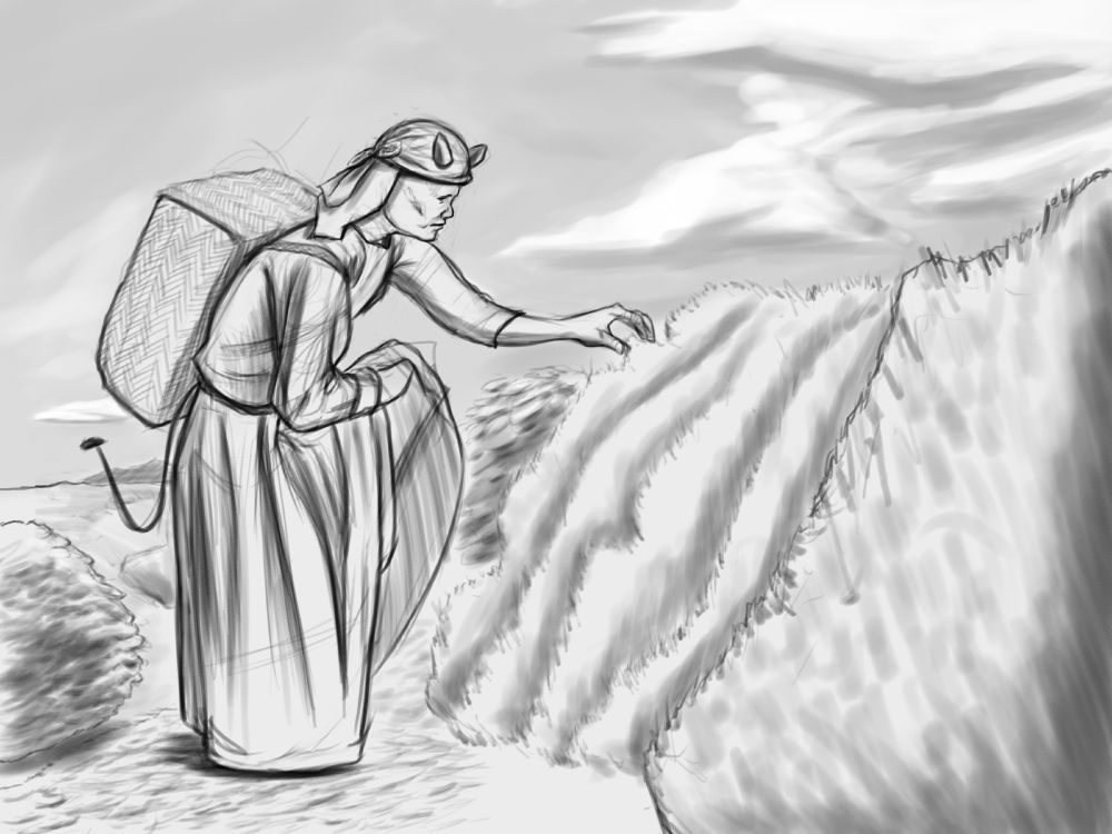 A tiefling commoner picking herbs from a bush. 