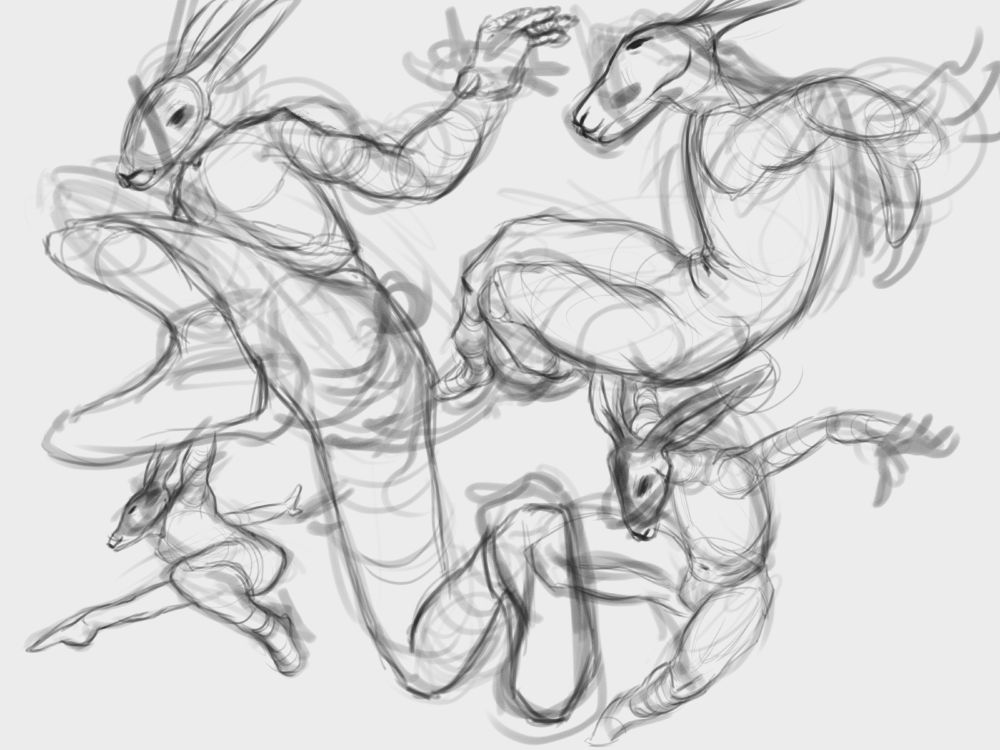 Rabbits. 