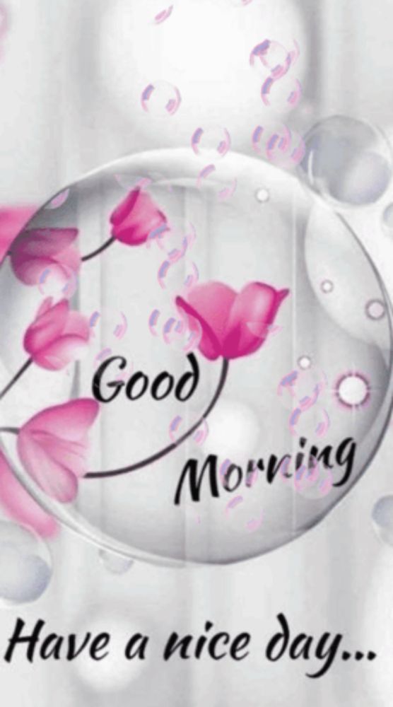 a good morning message with pink flowers in a clear bubble