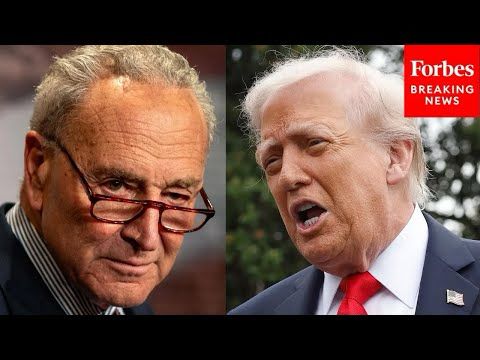 Schumer: This Is Why 'It's The Republicans Shutting Down The Government'
