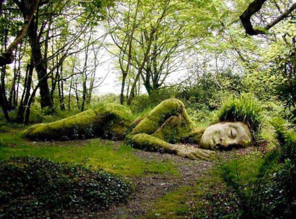 Panorama Eco: Incrível escultura viva nos jardins perdidos de Heligan muda sua aparência com as estações